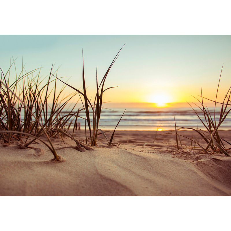 Fototapete Meerblick Sonnenuntergang Und Strand TenStickers