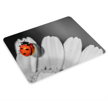 Tapis de souris original Marguerites et coccinelles - TenStickers