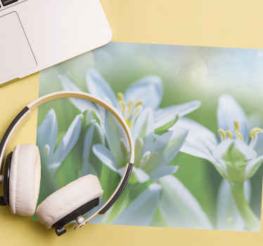 Muhteşem kardelen çayırı daha fazla fare altlığı - TenStickers