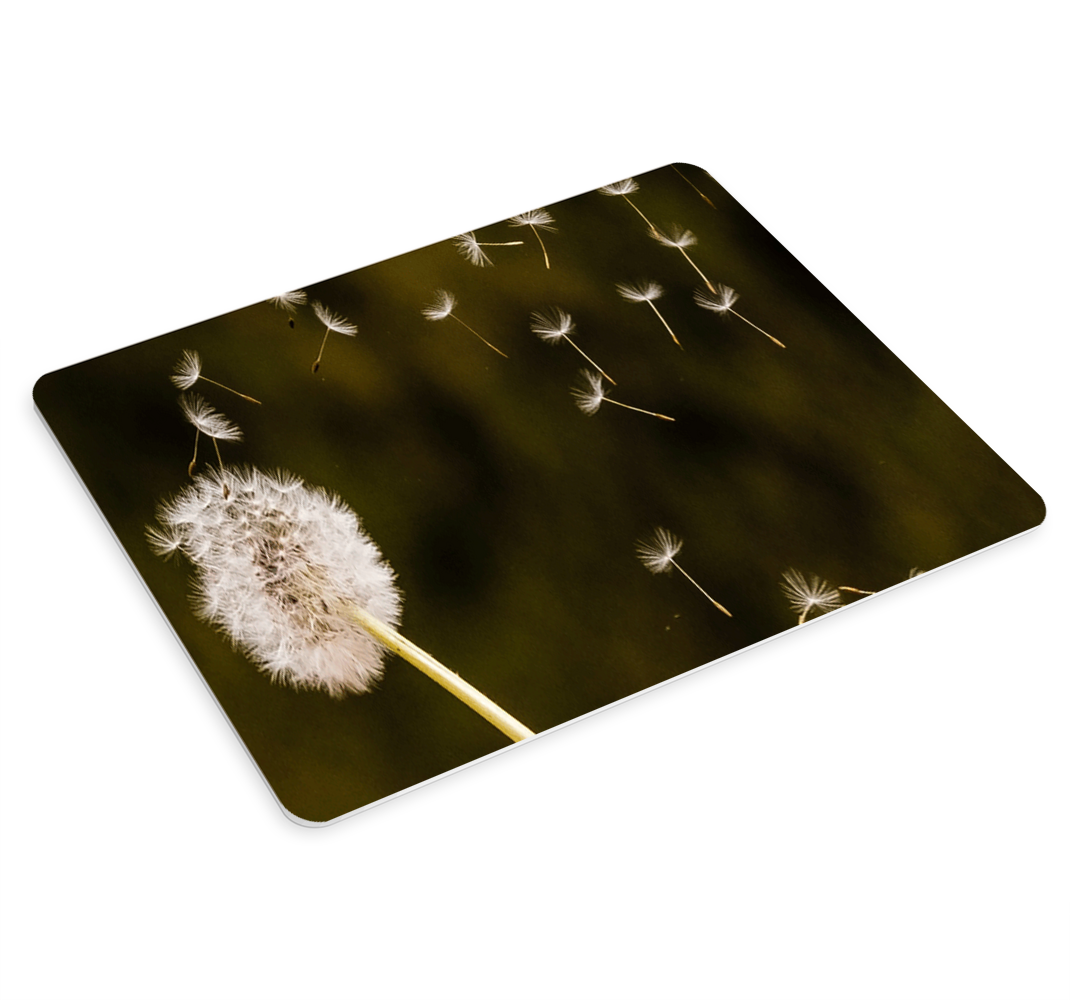 Løvetann nærbilde med grønn bakgrunn musematte original - Tenstickers