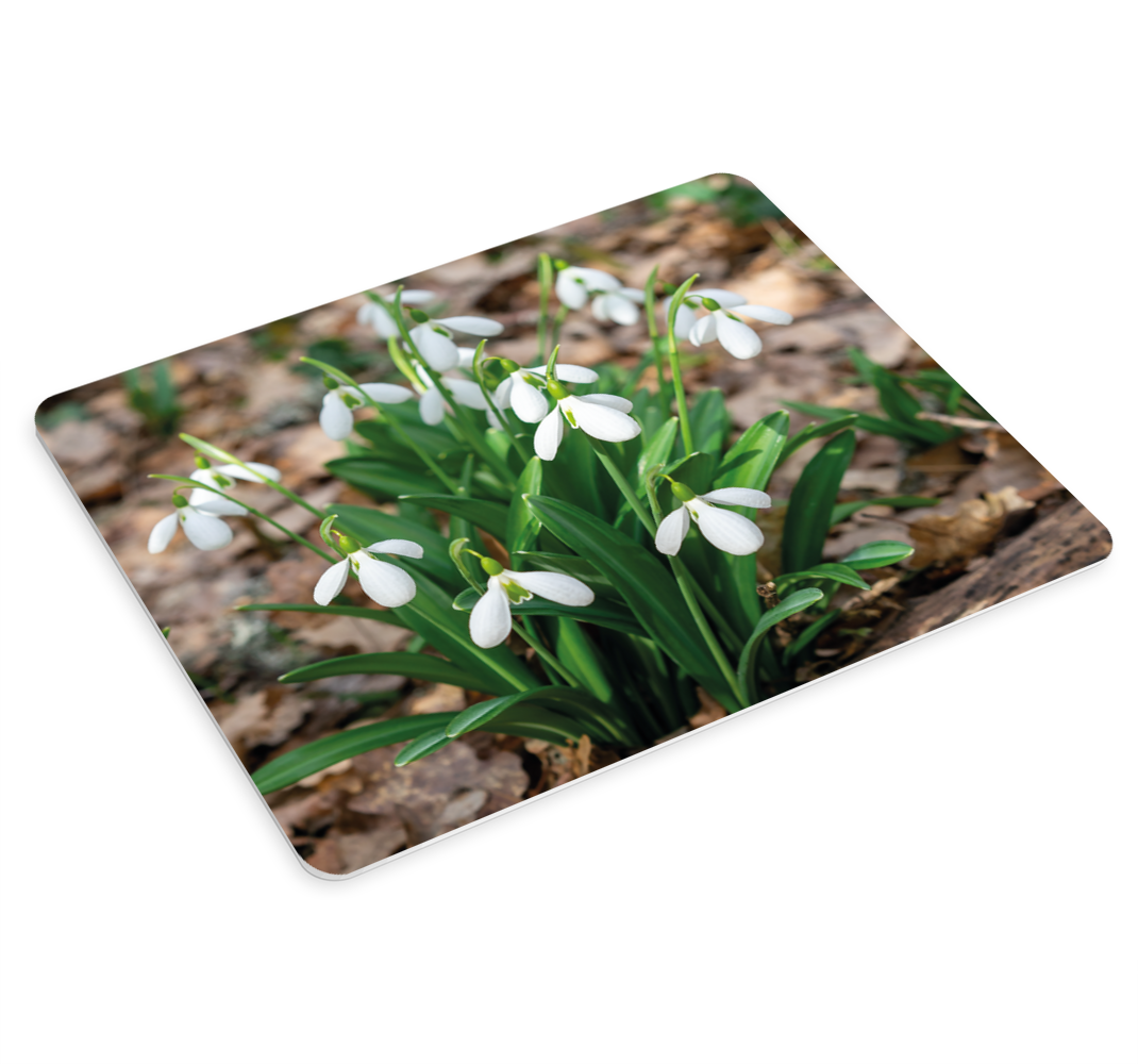 Kardelen forrest manzara daha fazla fare altlığı - TenStickers