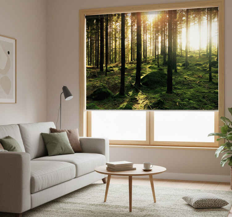Living room roller blind sunlit forest - TenStickers