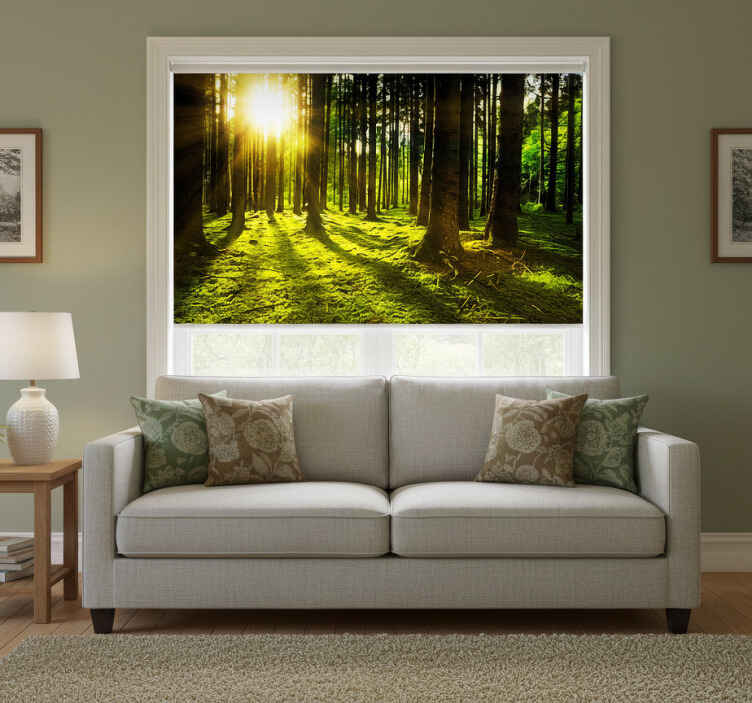 Green roller blind sunlit forest - TenStickers