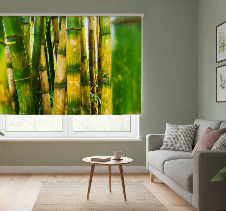 Green roller blind bamboo forest view - TenStickers