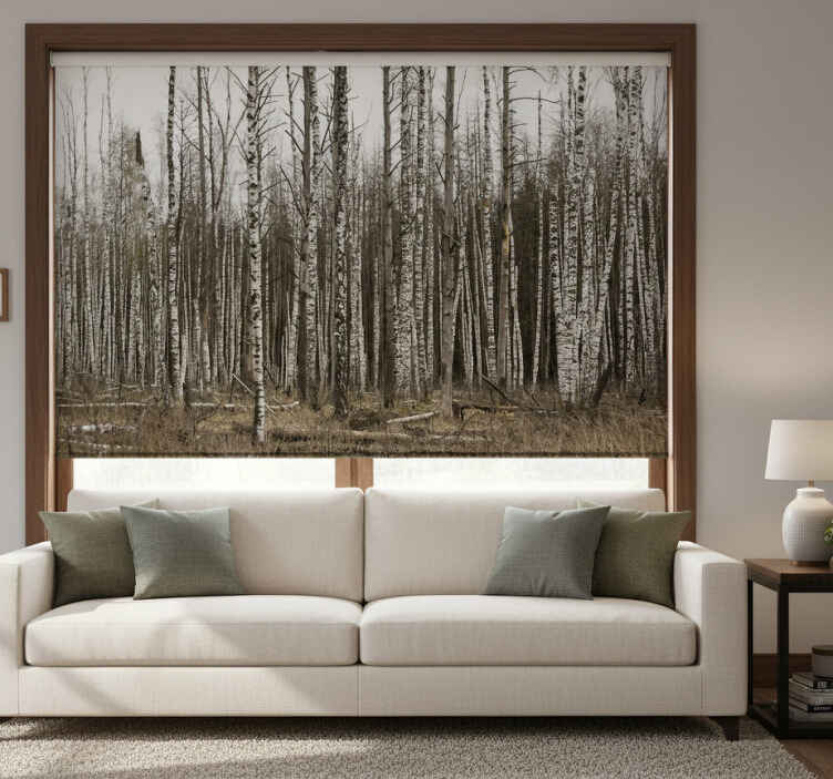 Living room roller blind gray birch forest - TenStickers