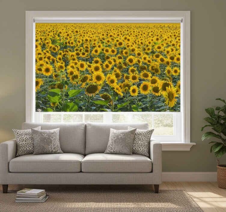Living room roller blind sunflower field at sunset - TenStickers