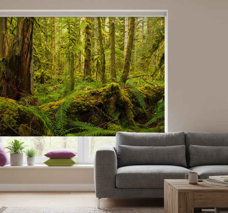 Living room roller blind in forest green - TenStickers