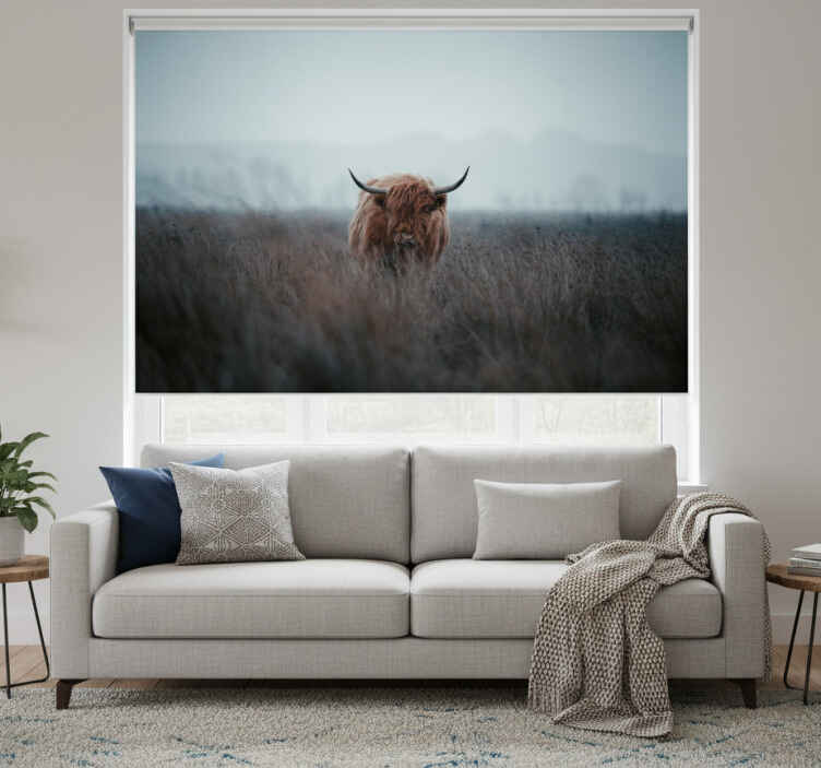Living room roller blind highland cow design - TenStickers