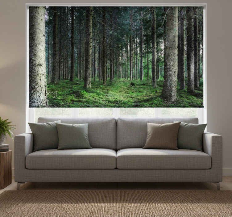 Living room roller blind humid tropical forest - TenStickers