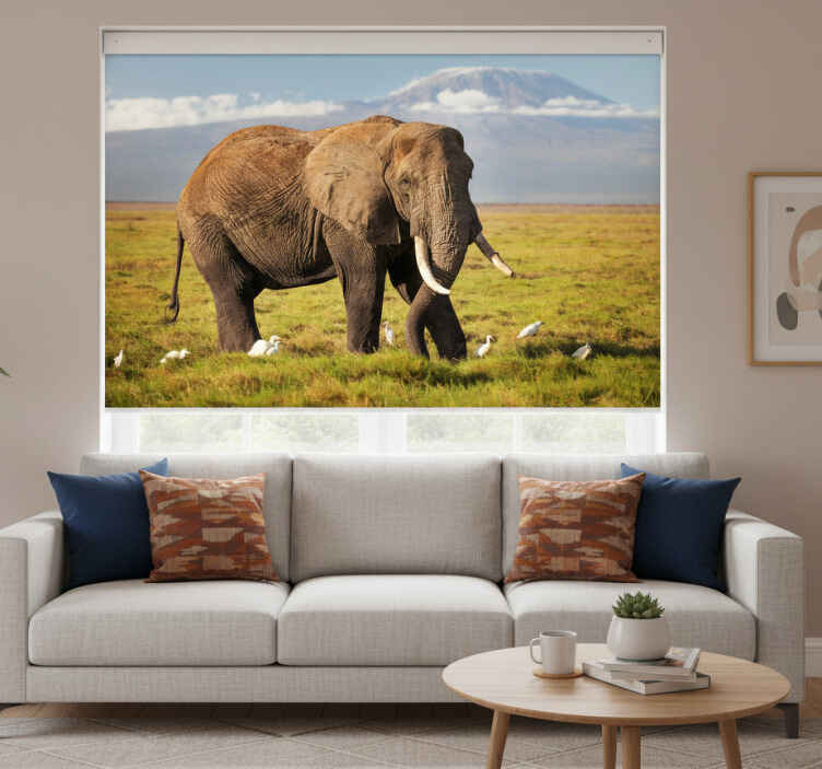 Rullegardin stue kilimanjaro elefant - Tenstickers
