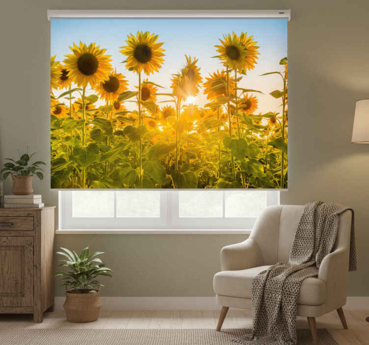 Cortina roller habitación campo de girasoles al amanecer - TenVinilo
