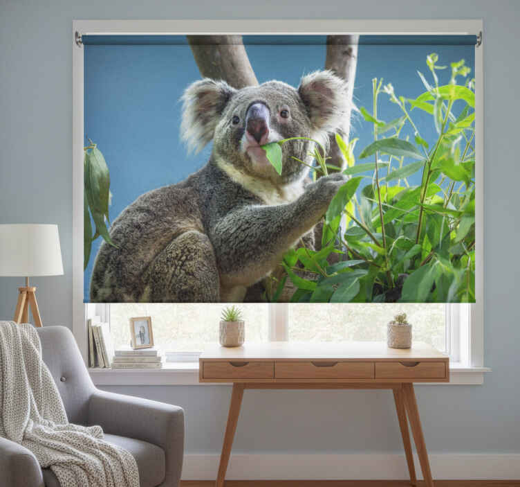 Blind bedroom cute koala bear design - TenStickers