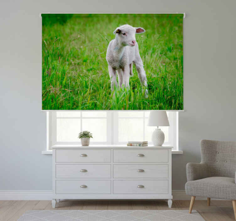 Blind bedroom cute lamb design - TenStickers