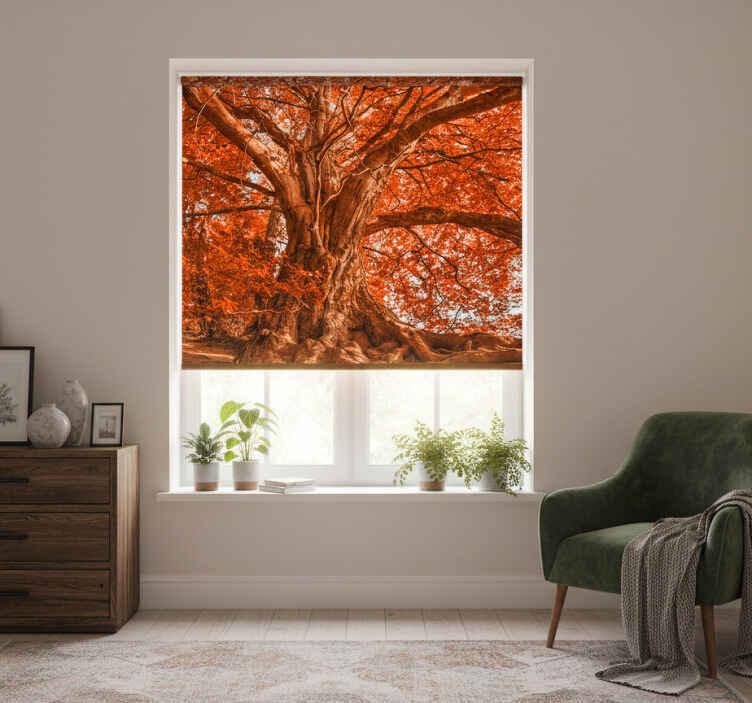 Estor enrollable habitación gran árbol otoñal - TenVinilo