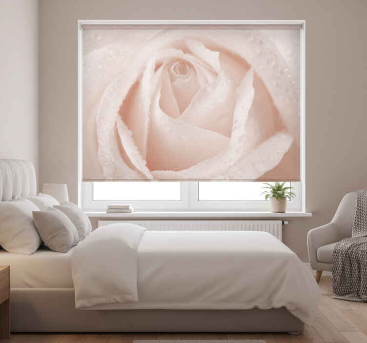 Rollo fenster weiß mit schöner weißer rose - TenStickers