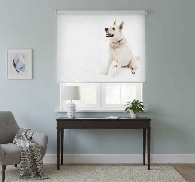 White roller blind husky in the snow - TenStickers