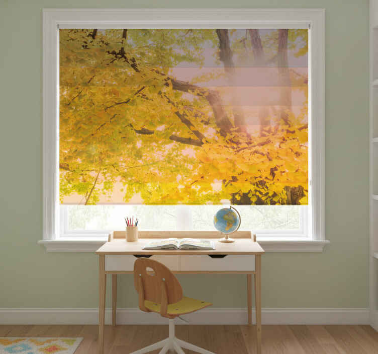 Rollo fenster kinderzimmer funkelnde herbstszene - TenStickers
