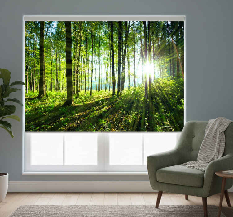 Rulou geam cameră peisaj forestier cu reflexii de lumină - TenStickers