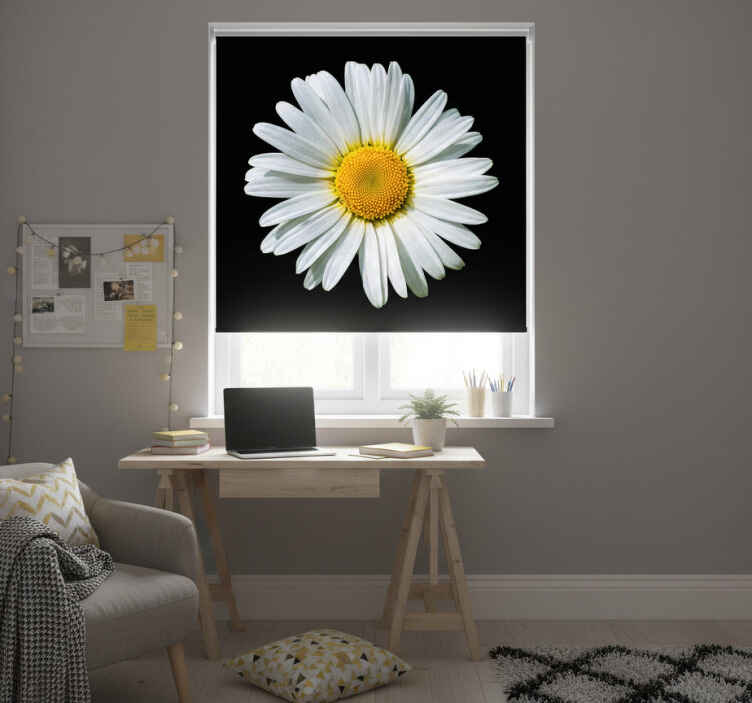 Rollo fenster schwarz mit schwarz-weißer gänseblümchenblüte - TenStickers