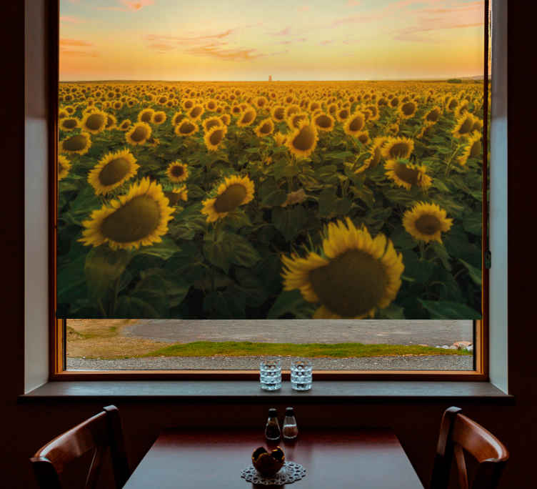 Sunflower Field Sunrise flower roller blind - TenStickers