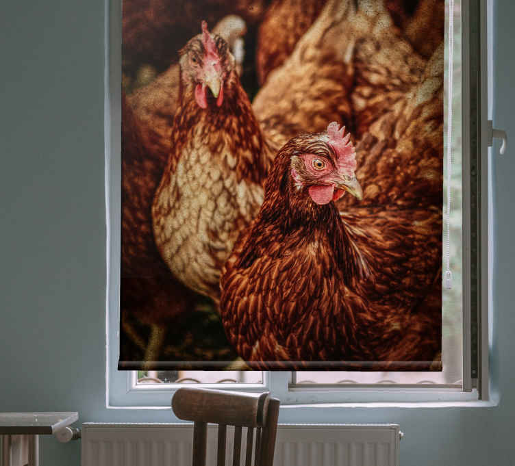Rustieke boerderij kippen rolgordijn meer dieren - TenStickers