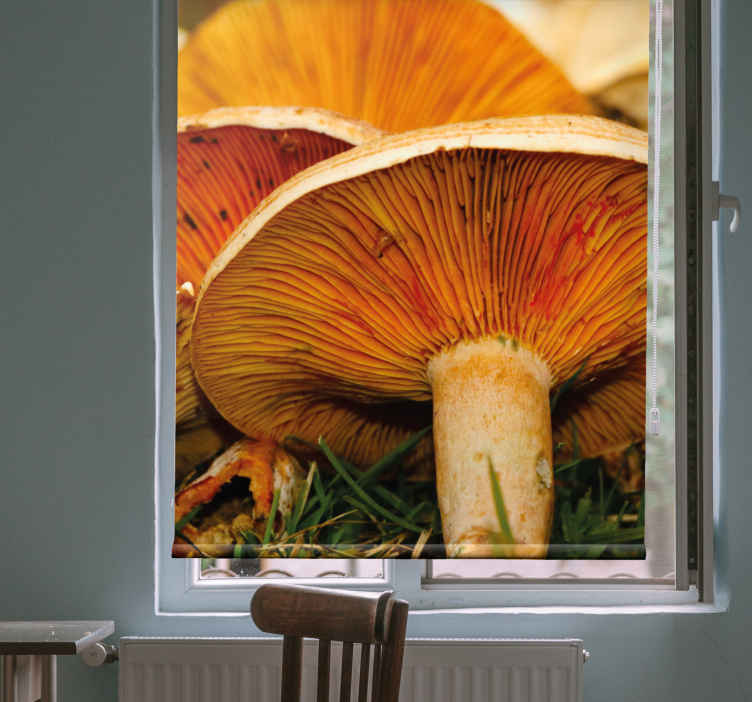 Tenda a rullo delizia ai funghi - TenStickers