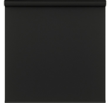 Matte black modern bathroom window blind - TenStickers