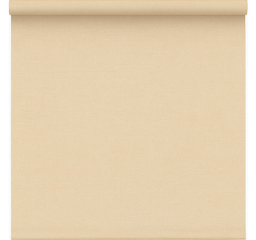 盲人主卧室設備简单米色透视窗帘 - TenStickers