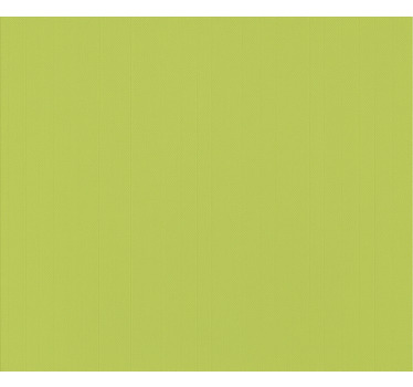 Rollo fenster home office lindgrün - TenStickers