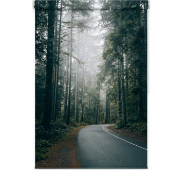 Tree blind foggy pine road - TenStickers