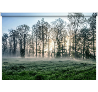 Misty morning meadow tree blind - TenStickers