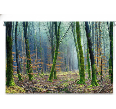 Sumuinen metsä japandi puukuviollinen rullaverho - Tenstickers