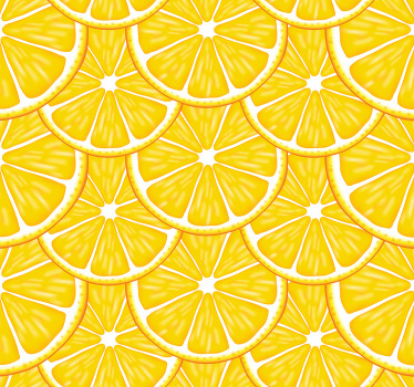 Rollo fenster küche mit citrus-scheiben-motiv - TenStickers
