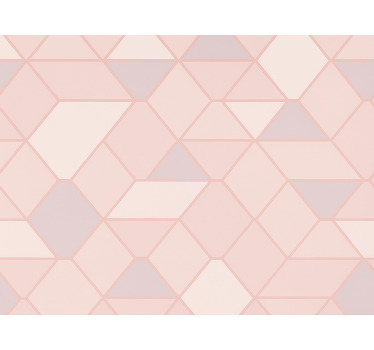 Tenda a rullo rosa figure astratte moderne - TenStickers