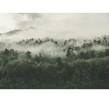 Estore de rolo para cozinha floresta com névoa acima - TenStickers