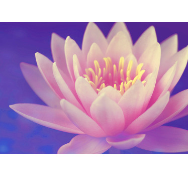 Estore de rolo para cozinha flor de lótus rosa - TenStickers