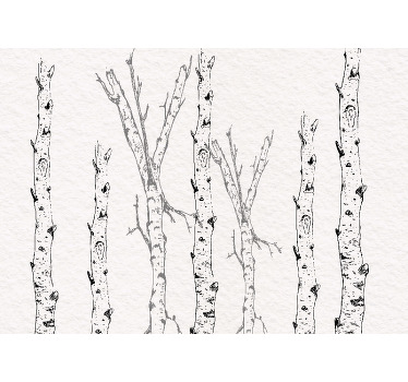 White roller blind birch stems - TenStickers
