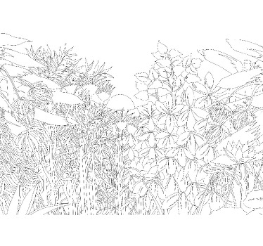 Wit rolgordijn tropisch jungle schets - TenStickers