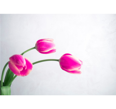White roller blind with three tulips on white background - TenStickers