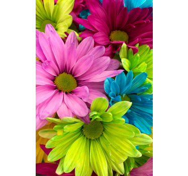 Colorful flowers living room blind - TenStickers