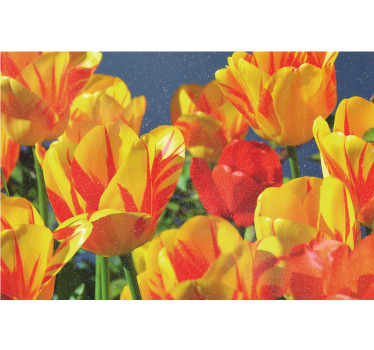 Cortina roller living comedor tulipanes rojos y amarillos - TenVinilo