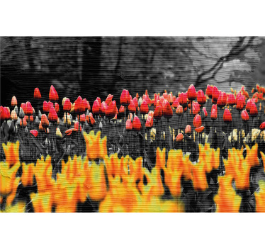 Cortina roller living comedor campos de flores diferentes - TenVinilo