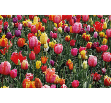 Cortina roller living comedor múltiples tulipanes en campo - TenVinilo