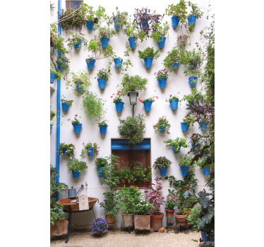 Rolgordijn woonkamer patio andaluz - TenStickers