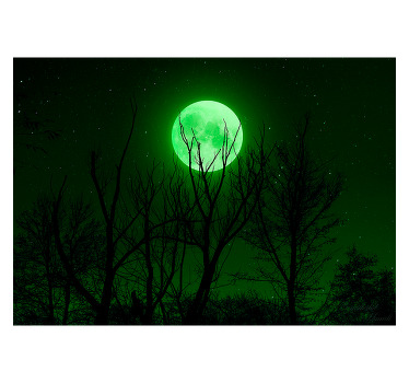 Black roller blind green moon - TenStickers