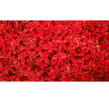 Red blind with floral petal pattern - TenStickers