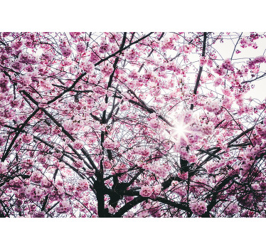 Pink blind cherry blossom trees - TenStickers