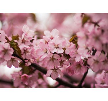 Pink blind in pink cherry blossom design - TenStickers