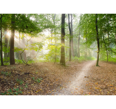 Living room blind forest path serenity - TenStickers