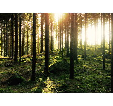 Living room blind sunlit forest - TenStickers